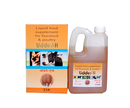 Udder H Liquid & Injection, Cattle Weight Gain Supplement Manufacturers,  Suppliers Mumbai, Delhi, Haryana, India
